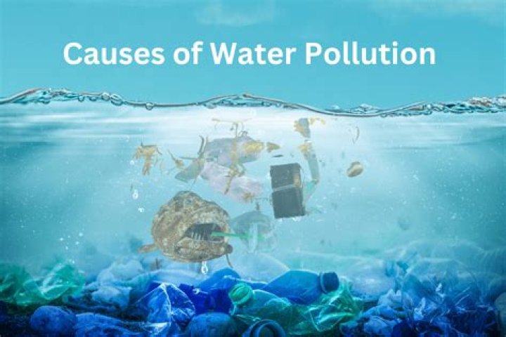 What are the causes of manmade pollution