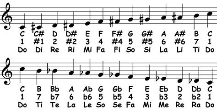 What are the chromatic scale notes