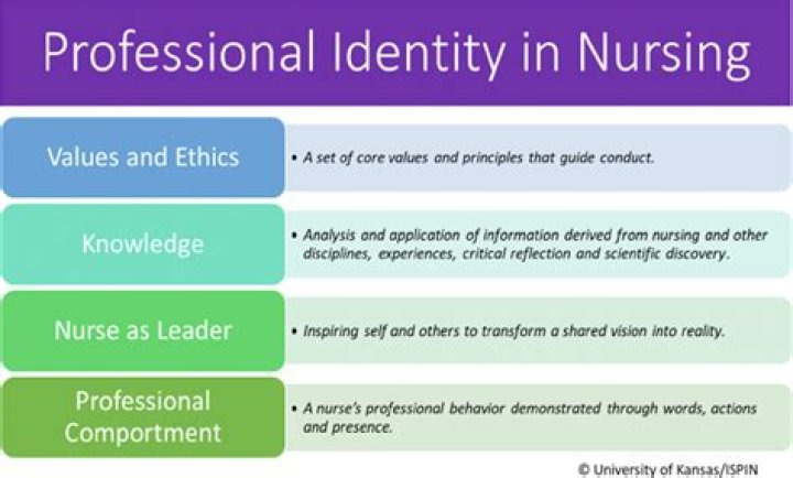 What are the components of a professional identity