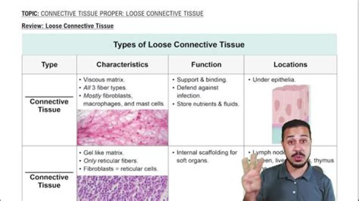 What are the different types of connective tissue diseases