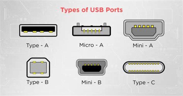 What are the different types of docks