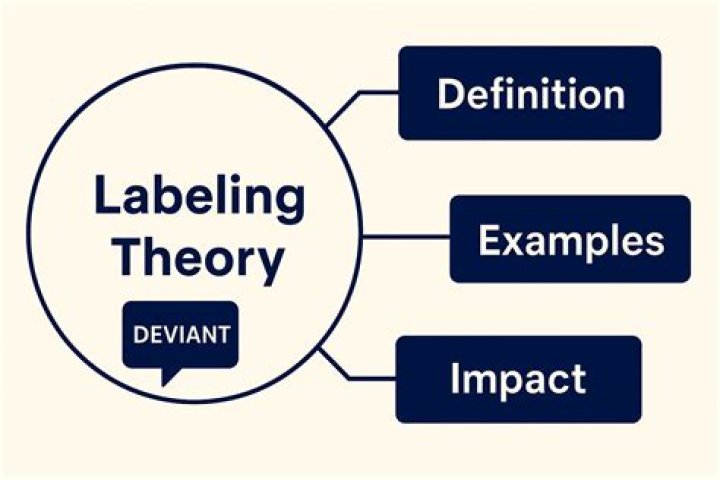 What are the different types of labeling theories