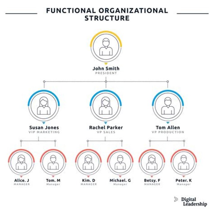 What are the disadvantages of a functional Organisational structure