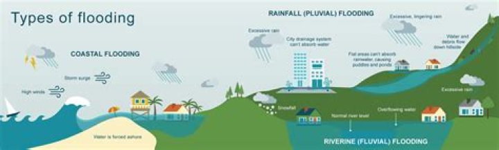 What are the effect of floods in environment