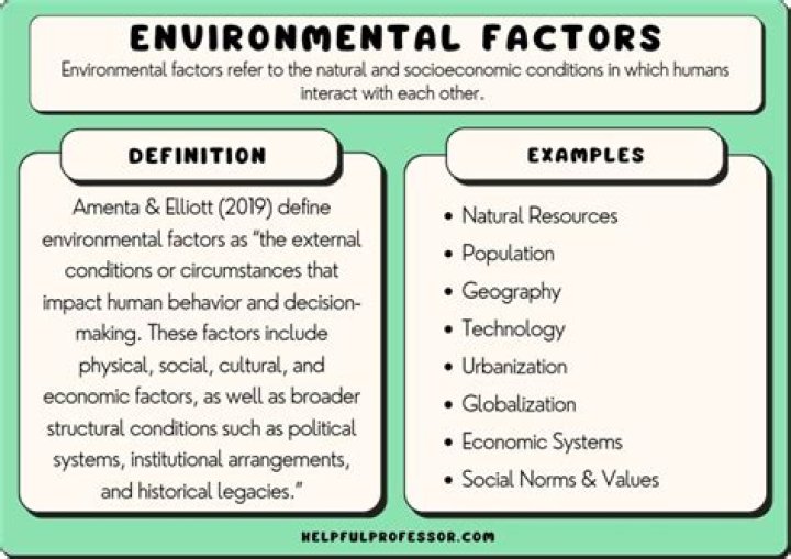 What are the factors of environmental analysis