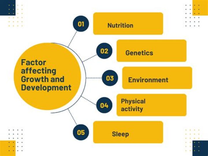 What are the factors that affect the respiration rate of yeast