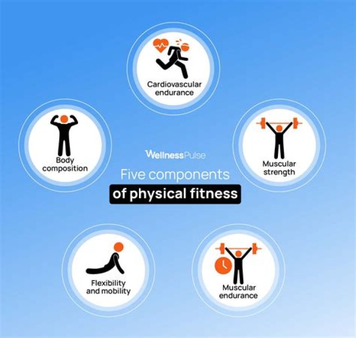 What are the five components of fitness