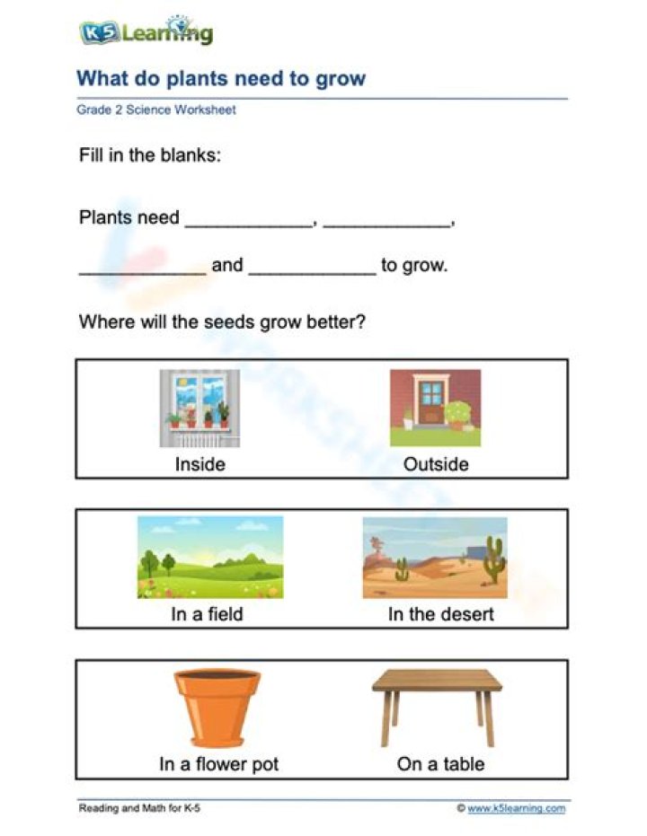 What are the five things plants need to grow