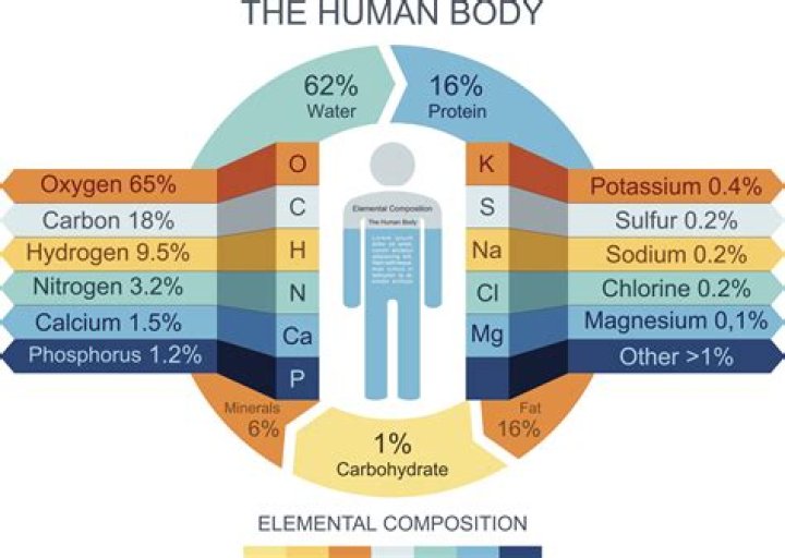 What are the four major inorganic compounds essential to human functioning