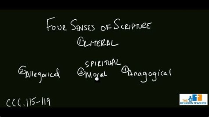 What are the four senses