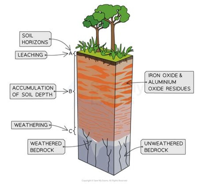 What are the layers of soil in order