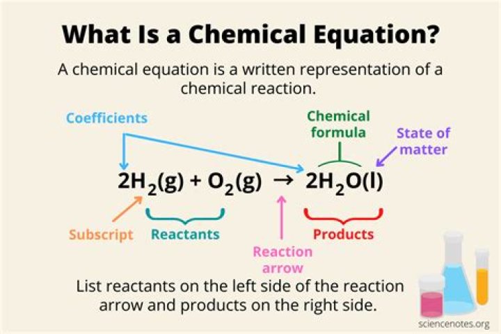 What are the left and right side of a chemical equation called