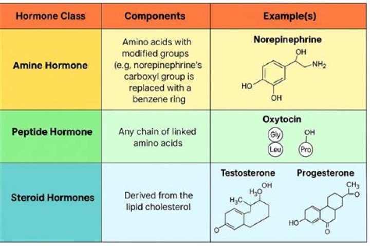 What are the main classes of hormones