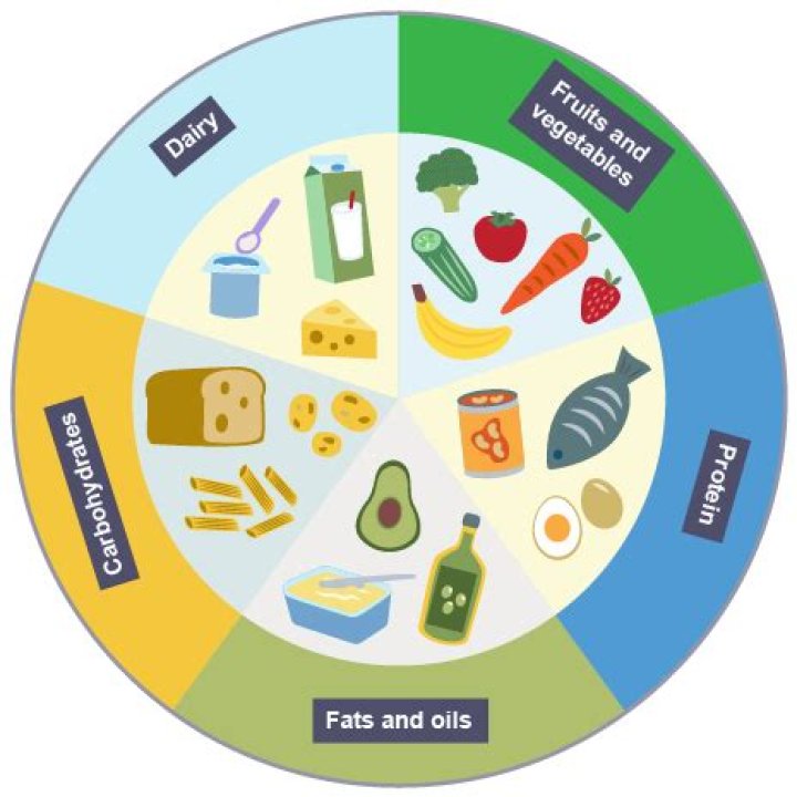 What are the major food groups USDA