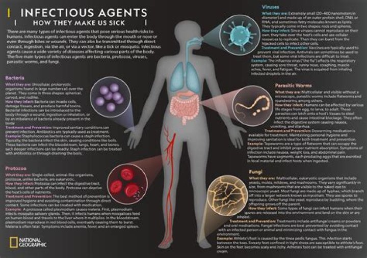 What are the major infectious agents