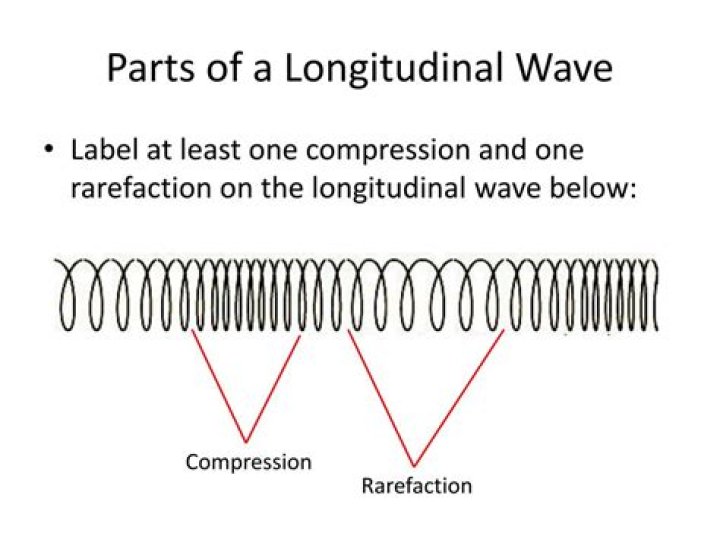 What are the parts of a longitudinal wave