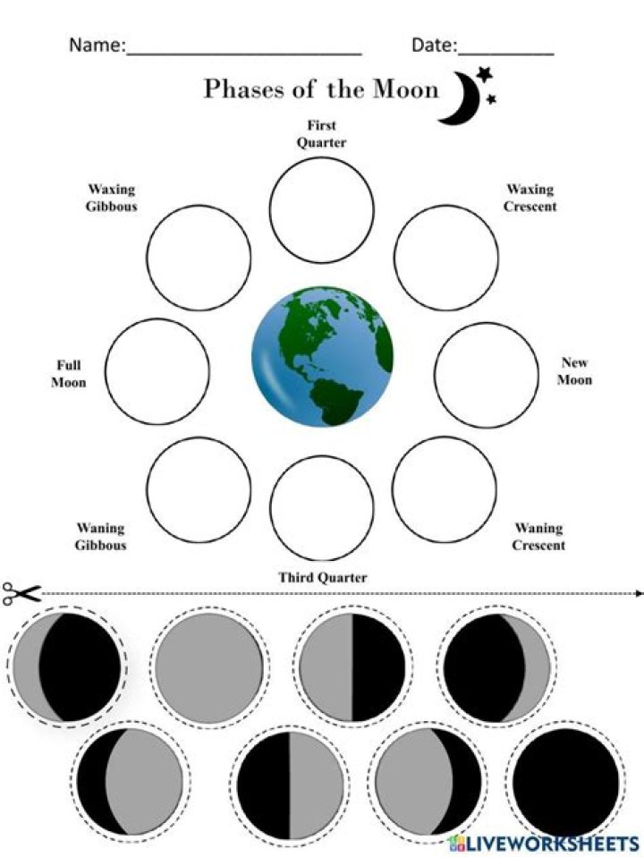 What are the phases of the moon worksheet