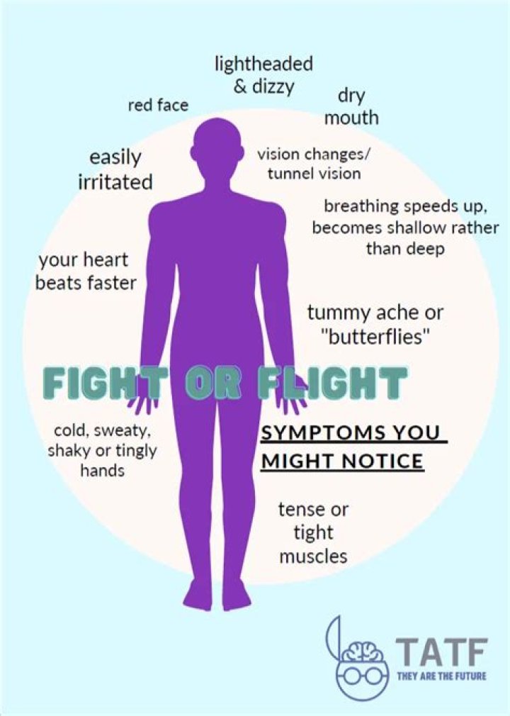 What are the physical symptoms of fight or flight