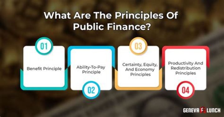 What are the principles of public financial management