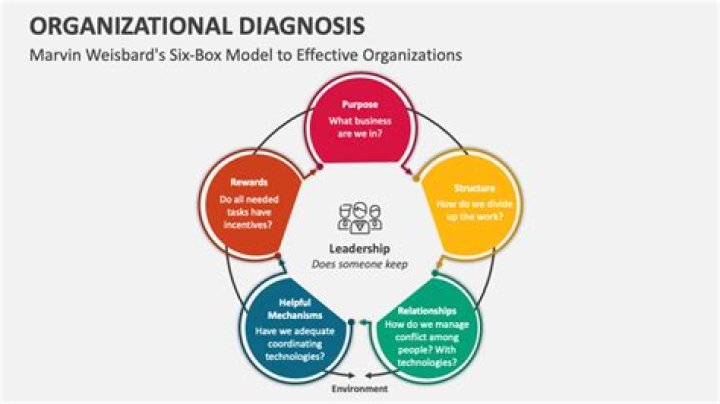 What are the qualitative methods of organizational diagnosis
