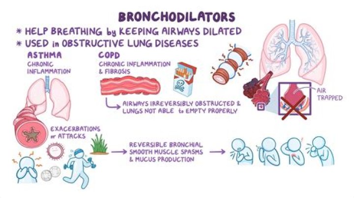 What are the side effects of bronchodilators