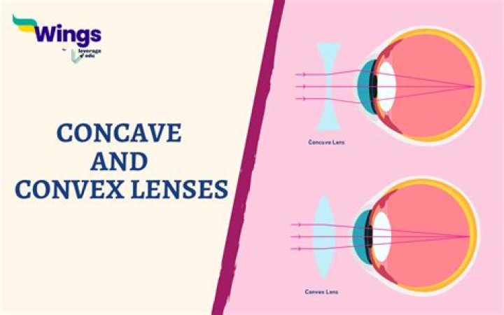 What are the similarities between concave and convex lenses