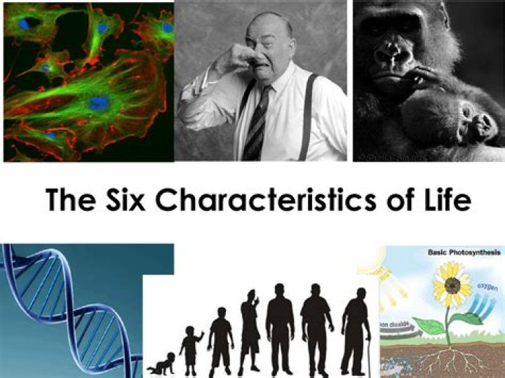 What are the six characteristics of life