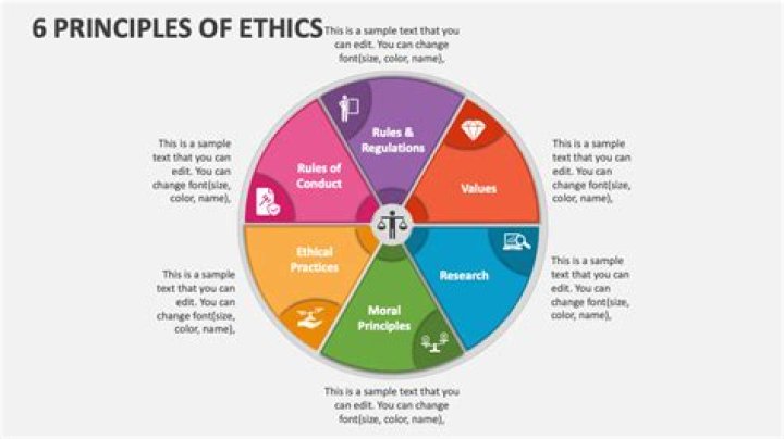 What are the six principles of IDEA