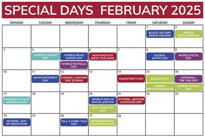 What are the special days in February 2019