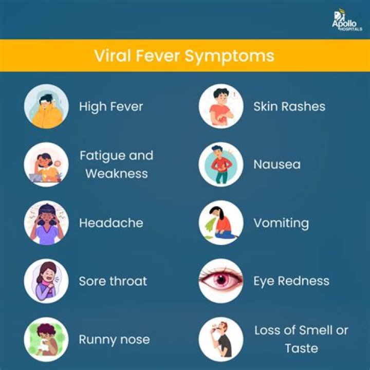 What are the symptoms of trench fever