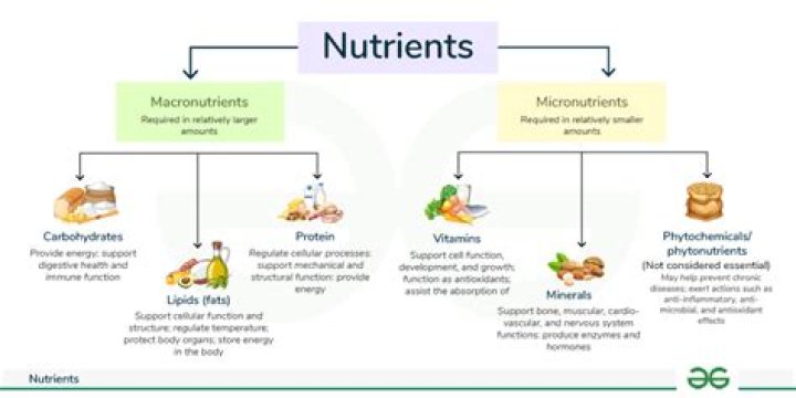 What are the three basic classes of nutrients
