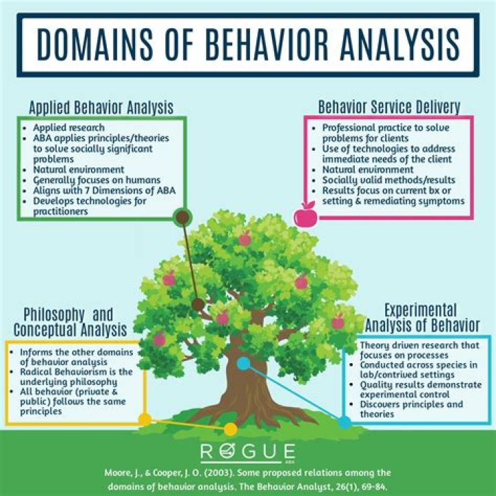 What are the three branches of behavior analysis