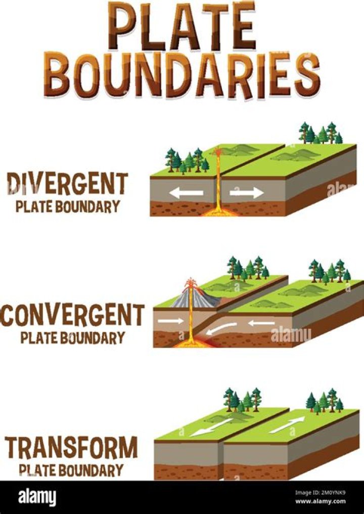 What are the two types of biogeography