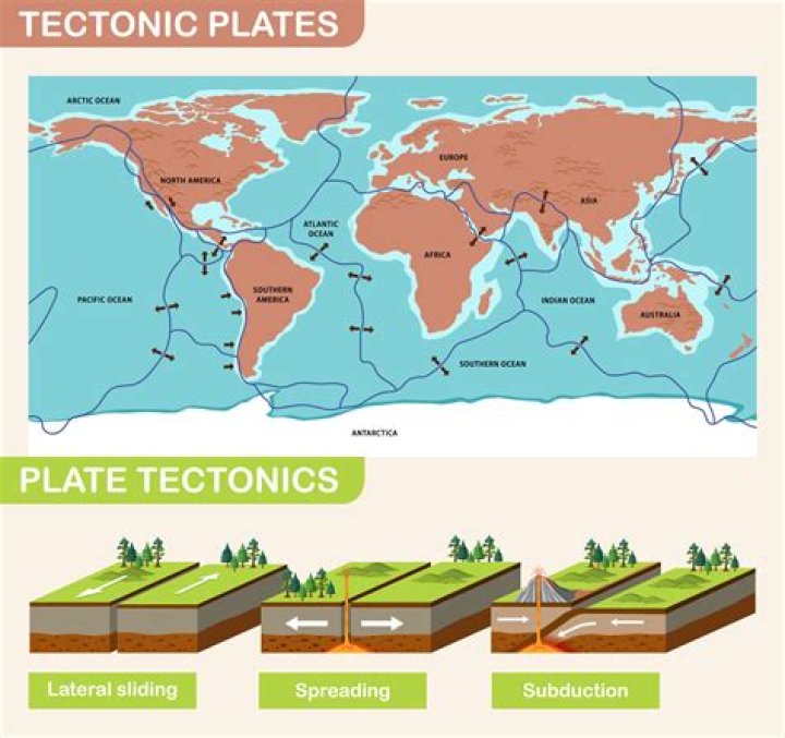 What are the types of plates