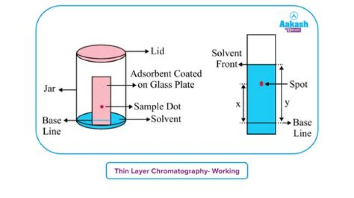 What are three uses of thin layer chromatography