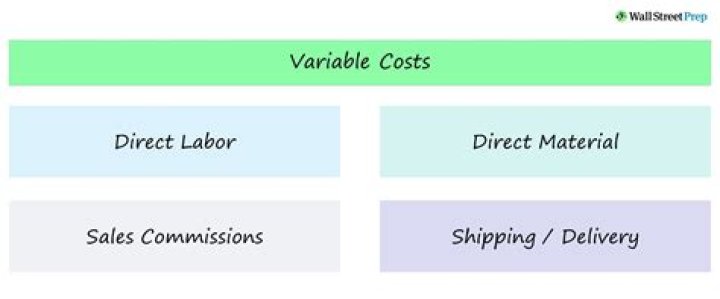 What are variable factors in economics