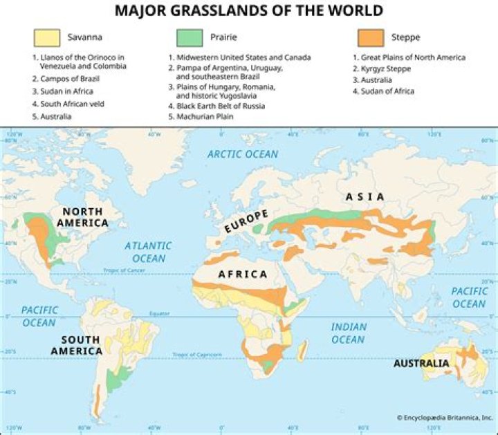 What are Velds and where it is situated
