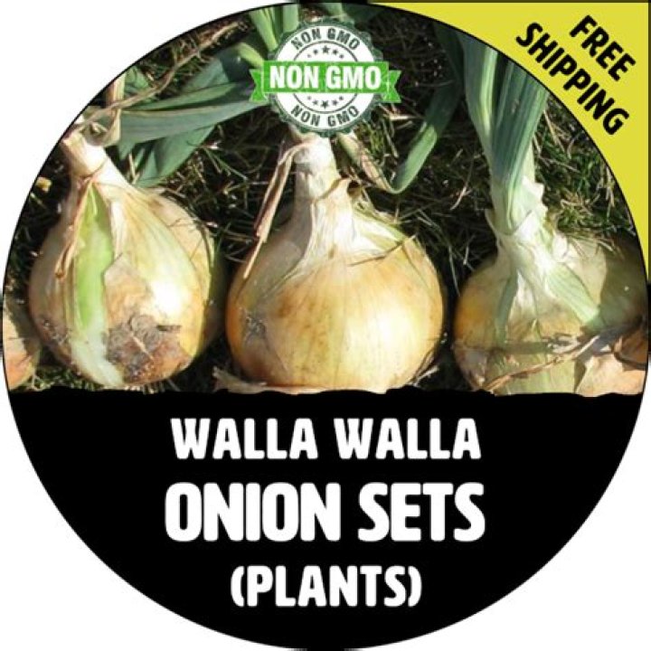 What are Walla Walla onions