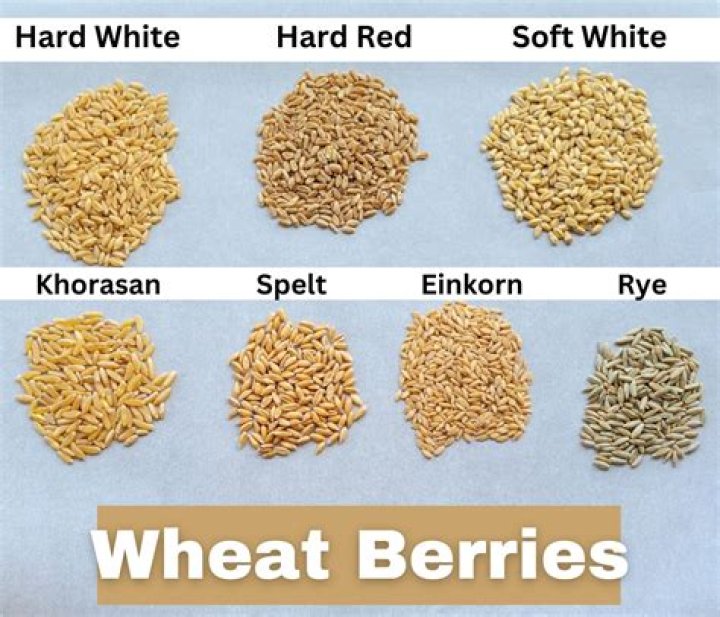 What are wheat bags filled with