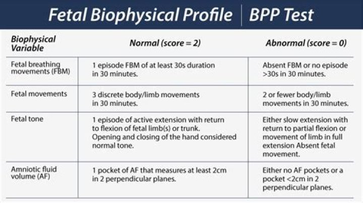 What BBP means