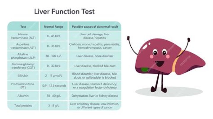 What blood test shows liver function