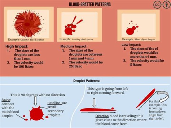 What can analysis of blood spatter tell an investigator