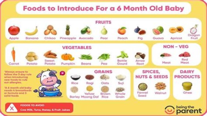 What can baby eat without teeth