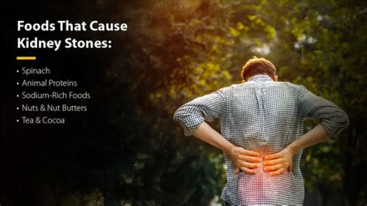 What can cause kidney stones in cats