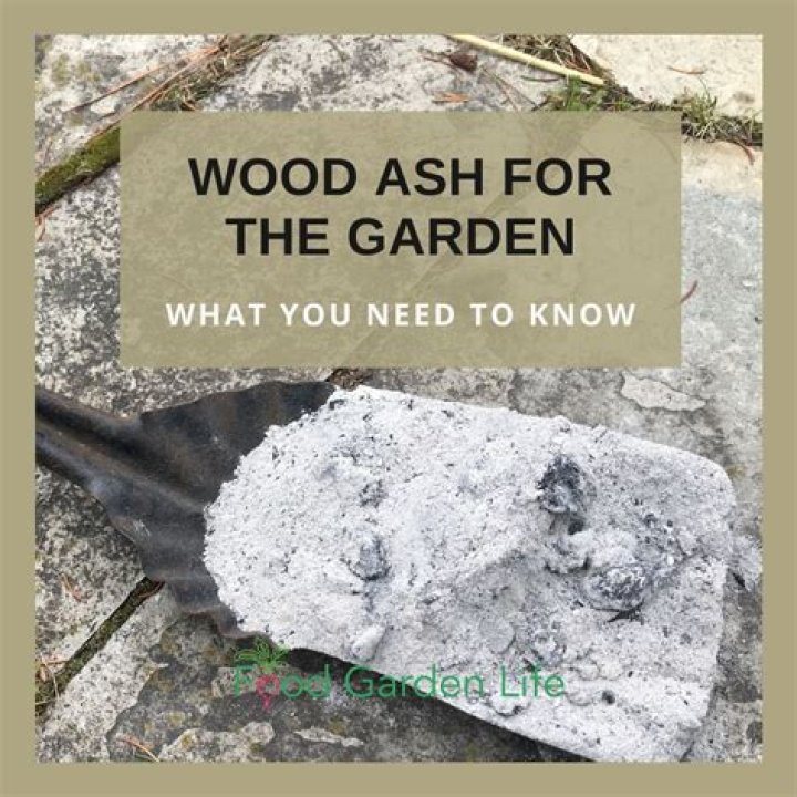 What can I do with wood ash