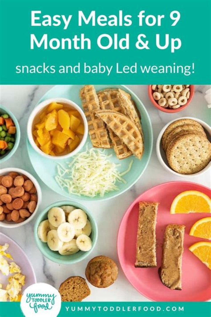 What Can I Give My 9 month old for lunch