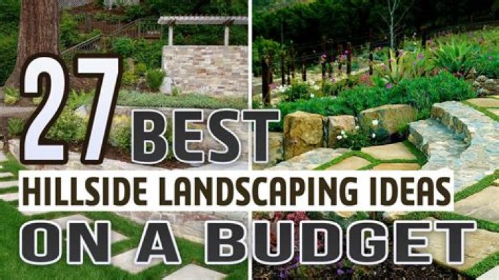 What can I plant on a bare hillside