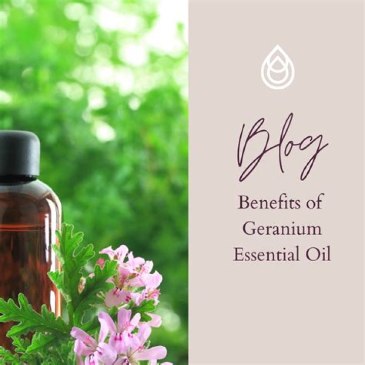 What can I use instead of geranium oil