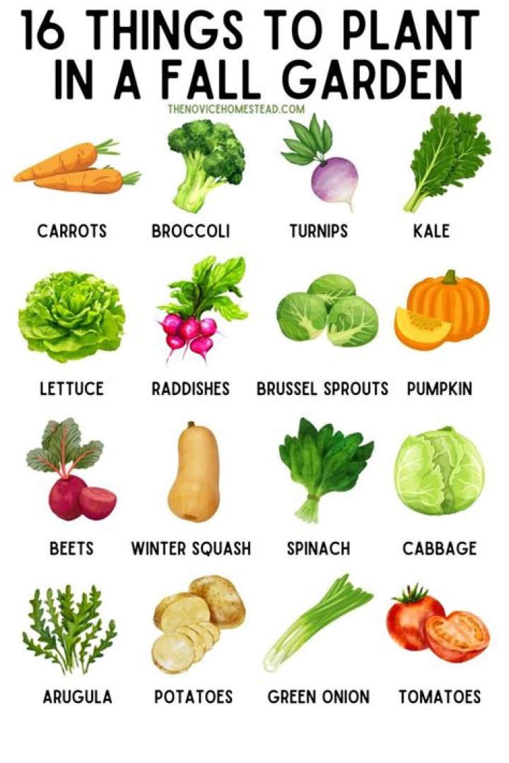What can you plant in the fall in Las Vegas