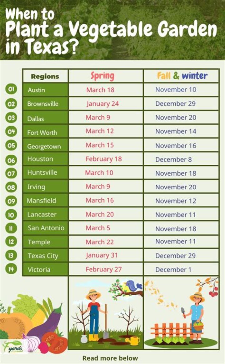 What can you plant in the fall in Texas